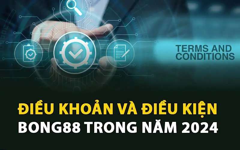 Điều Khoản Điều Kiện Tại Bong88 - Quyền Lợi Và Trách Nhiệm